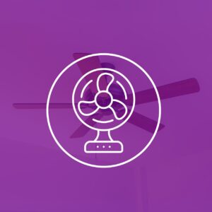 Fan – £50